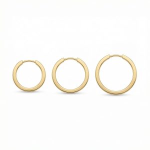 Classic Gold Hoop Earrings